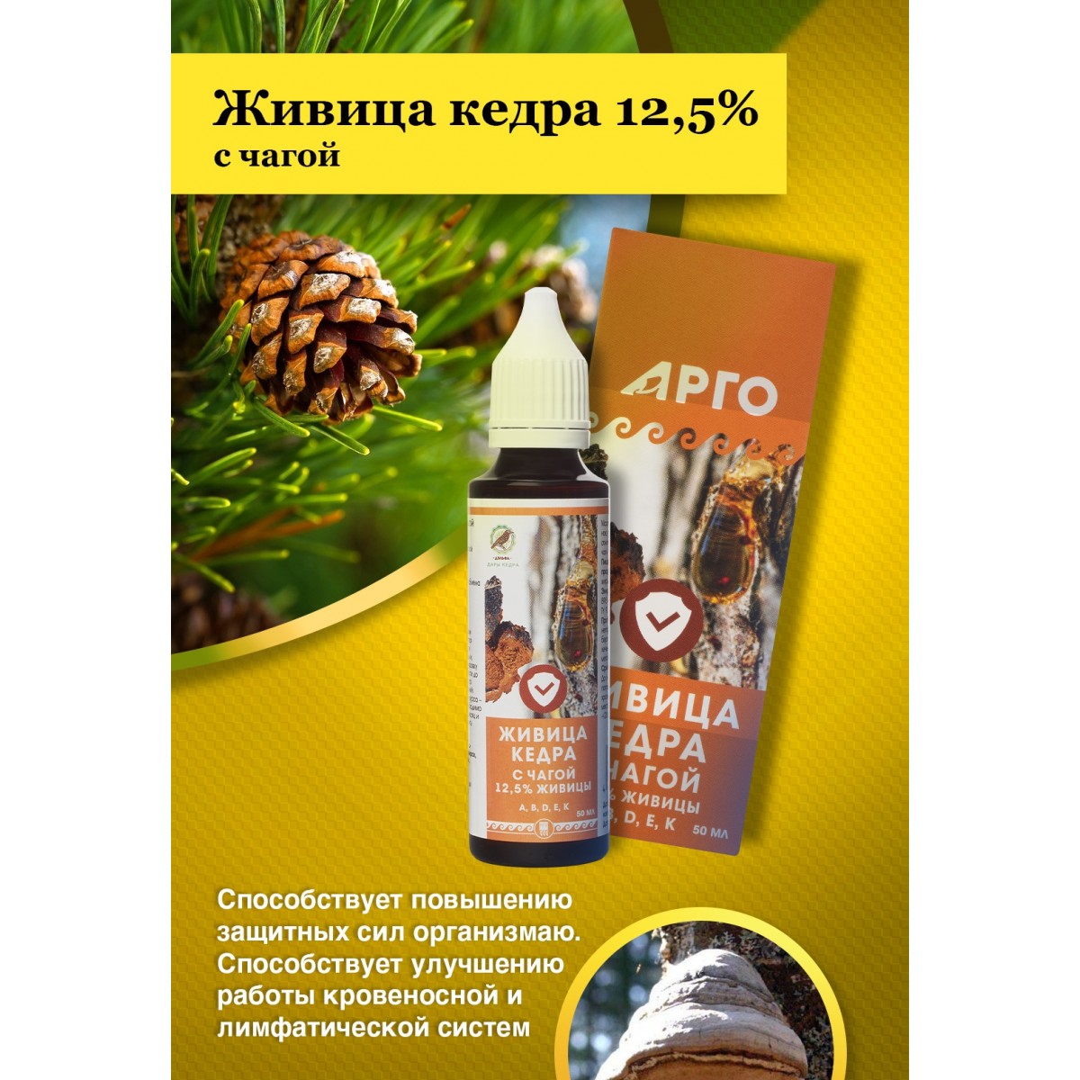 Живица кедра 12,5% с чагой от Дэльфа