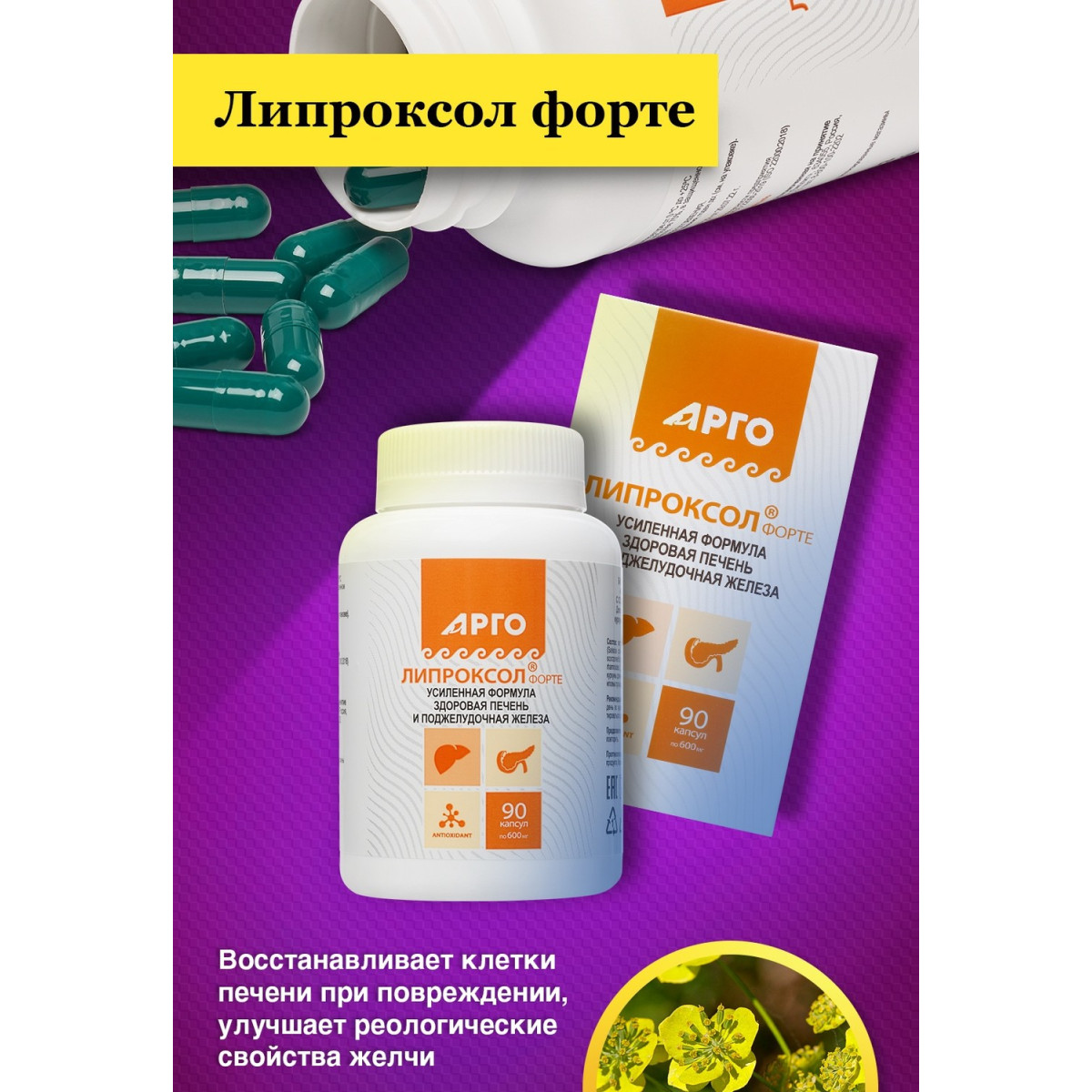 Липроксол форте для печени, 90 капсул от Биолит