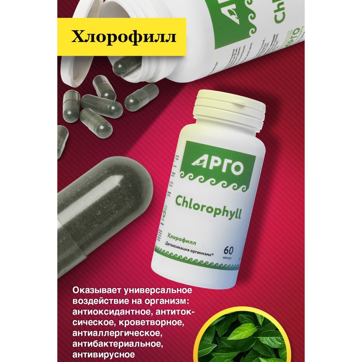 Хлорофилл, капсулы, 60 шт