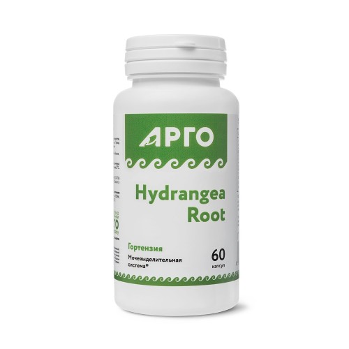 Гортензия TSN