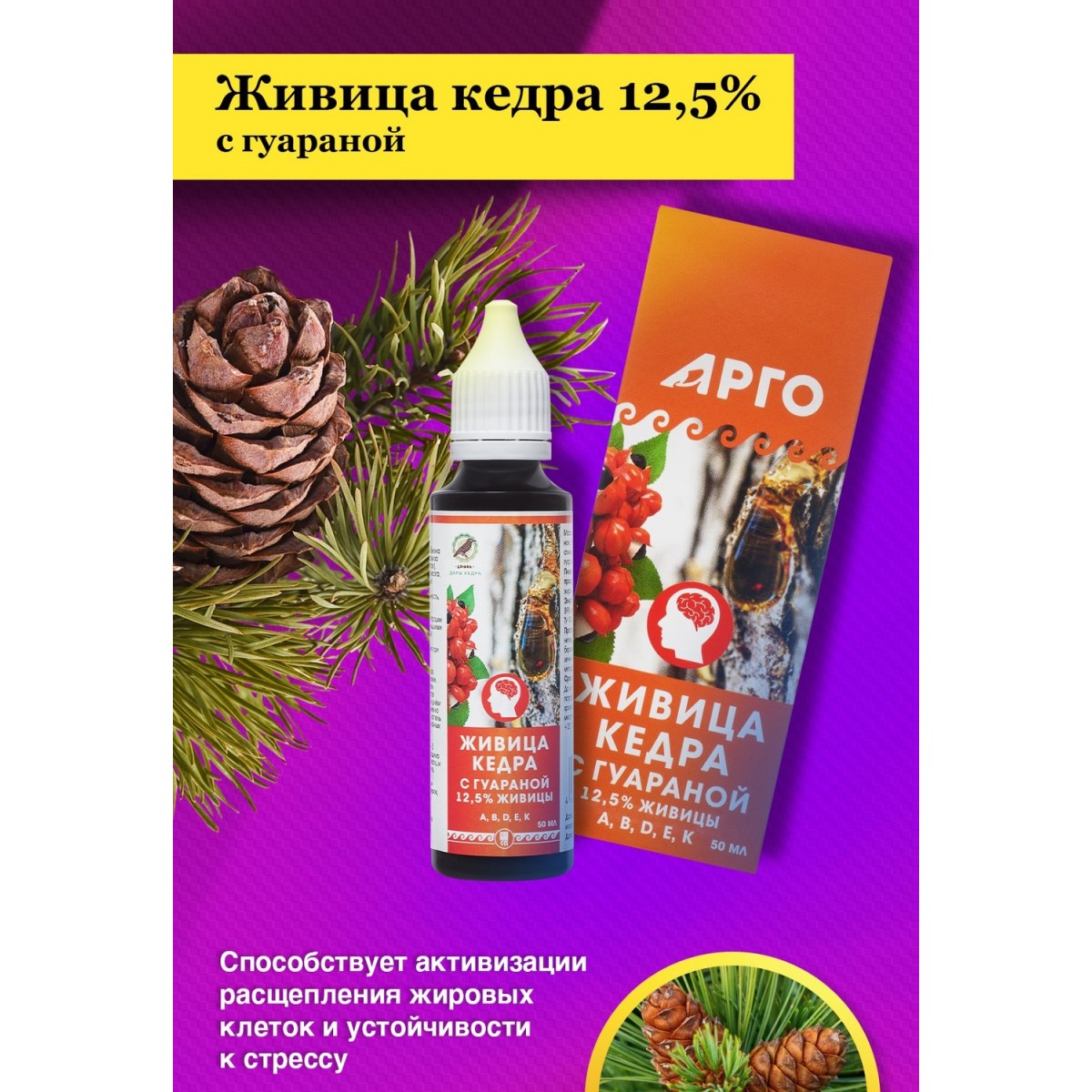 Живица кедра 12,5% с гуараной от Дэльфа